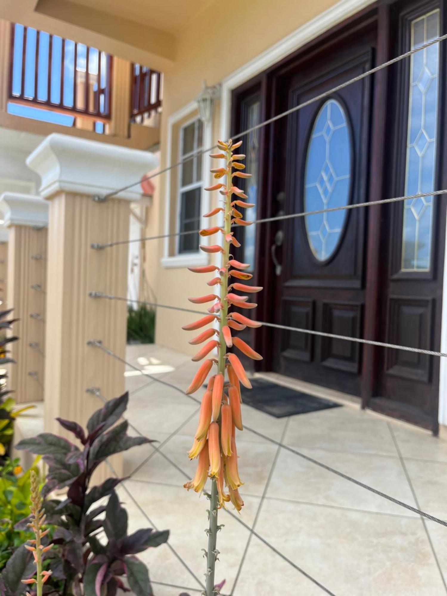 شقة Belle Breeze Haven جزيرة جورس المظهر الخارجي الصورة